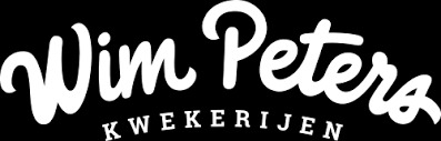 Wim Peters